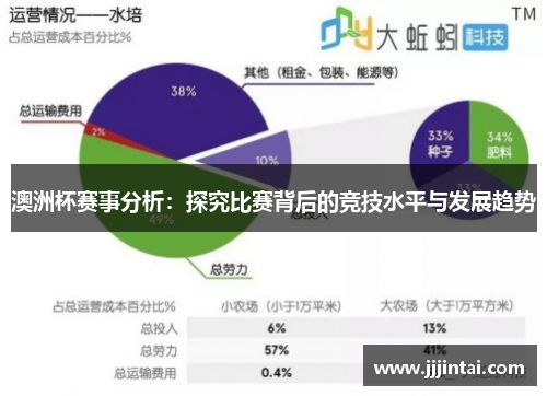 澳洲杯赛事分析：探究比赛背后的竞技水平与发展趋势